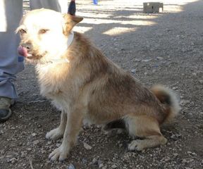 Foto de Tobi