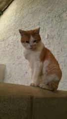 Foto de Ulises