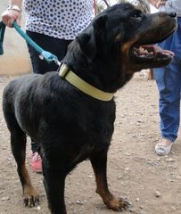 Foto de Eros