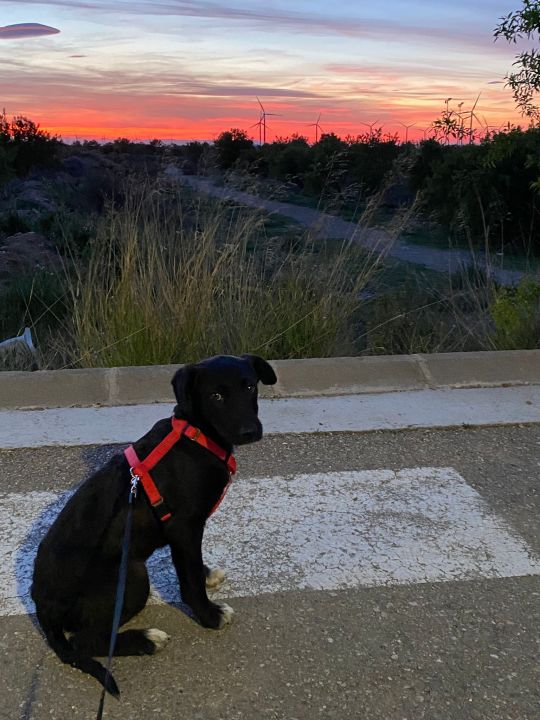 Foto de Zeta