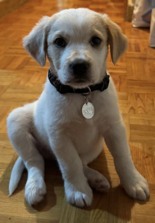 Foto de Axel (Hijo de Calma)
