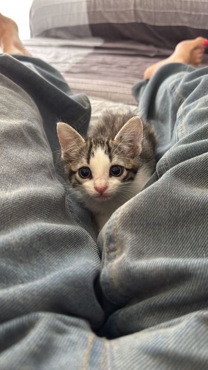 Foto de Ares