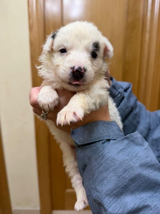 Foto de Hembra 1 (Mo)