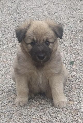 Foto de Tit&aacute;n