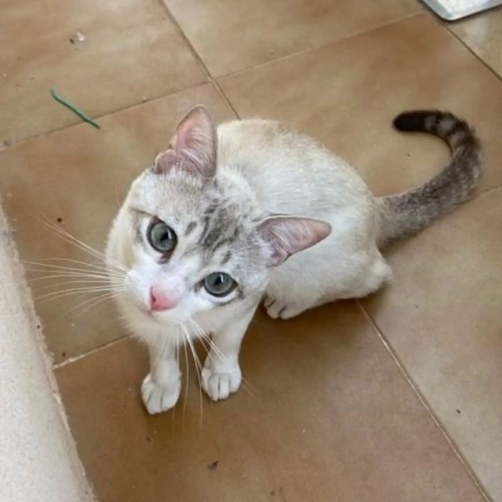 Foto de Fermin