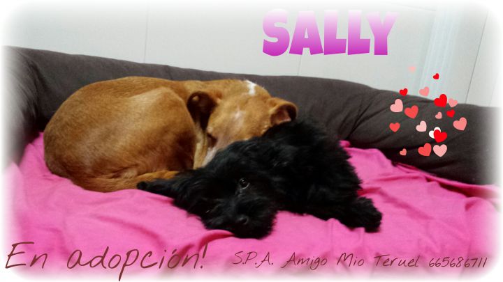 Foto de Sally