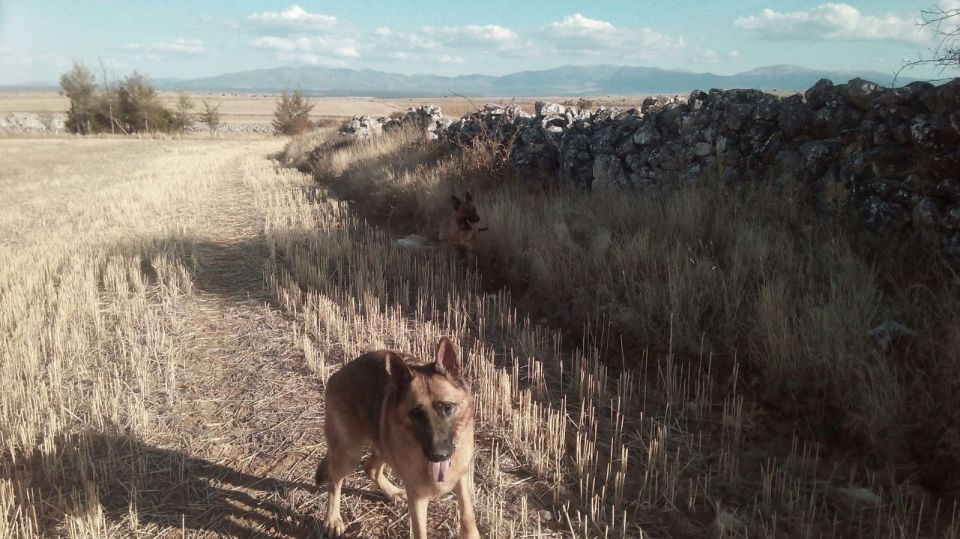 Foto de Simón