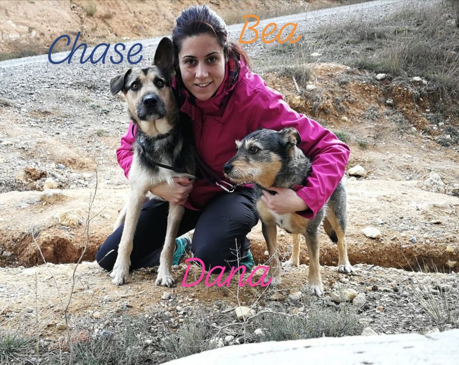 Foto de Chase