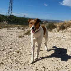 Foto de Barri (Marcelino)