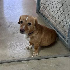 Foto de Cuca (Senda)