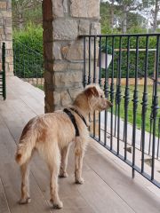 Foto de Reme (Remedios)