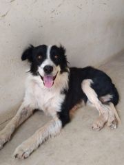 Foto de Juanillo