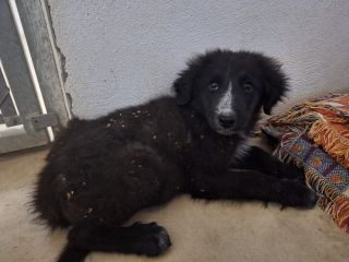 Foto de Maya