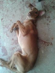 Foto de Wally