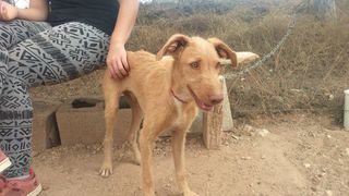 Foto de Sim&oacute;n