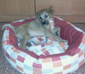 Foto de Marlo
