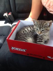 Foto de Ferm&iacute;n 